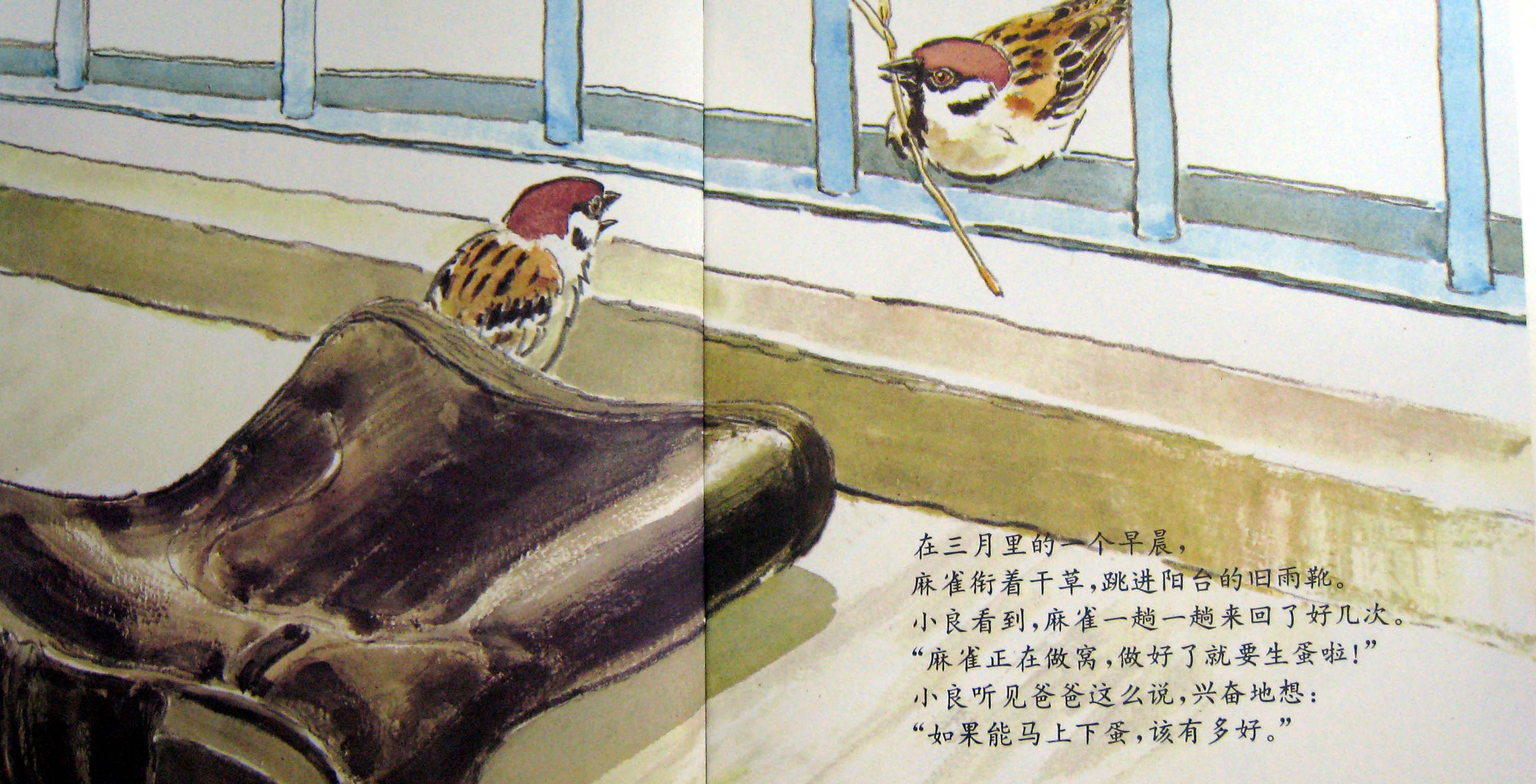 雨靴里的麻雀 (06),绘本,绘本故事,绘本阅读,故事书,童书,图画书,课外阅读